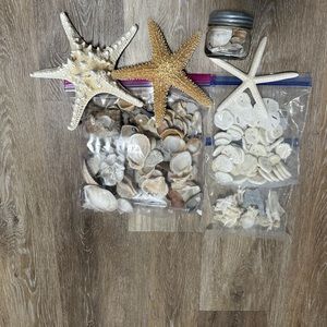 Sea shells, starfish, coral, sand dollars